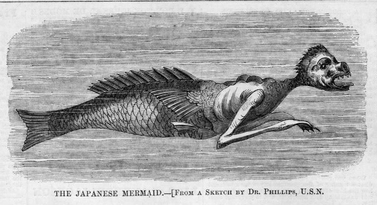 Fiji Mermaid - Atlas Obscura