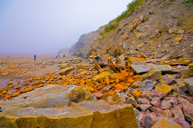 Joggins Fossil Cliffs - Nova Scotia Canada - Atlas Obscura Blog