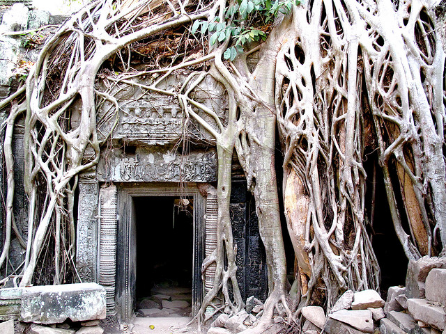 Ta Prohm Temples - Atlas Obscura - Photo Blog