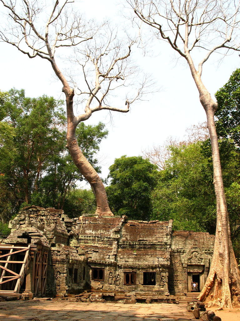 Angkor Ta Prohm - Travel Blog at Atlas Obscura