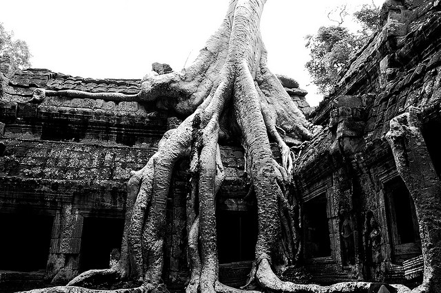 Ta Prohm Cambodia's Temple - Atlas Obscura Photography Blog