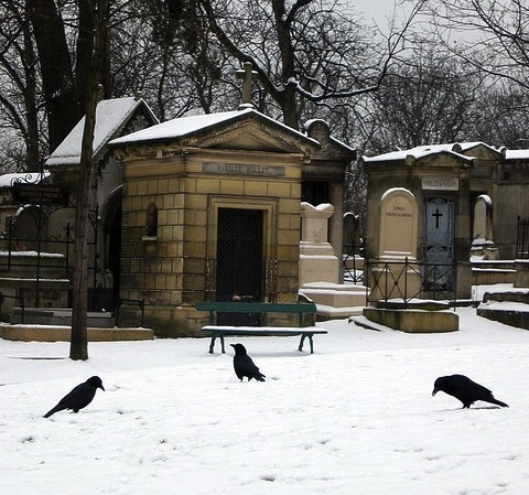 Ravens in Cemetery Surrounded by Mausoleums - Atlas Obscura Blog