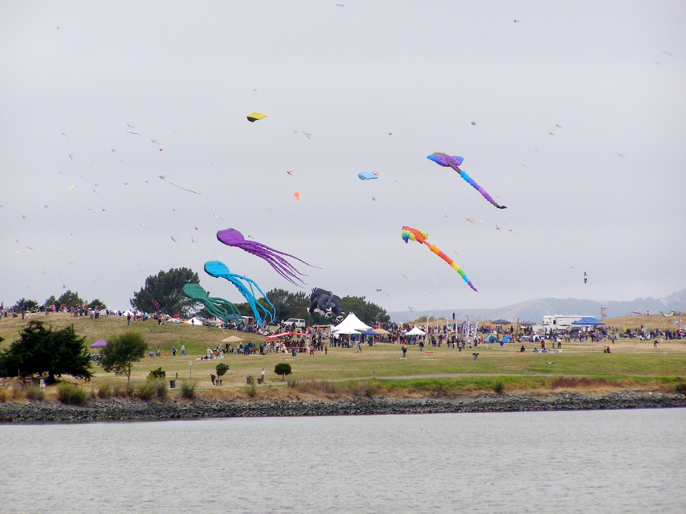 Berkeley Kite Festival From Afar - Atlas Obscura Blog