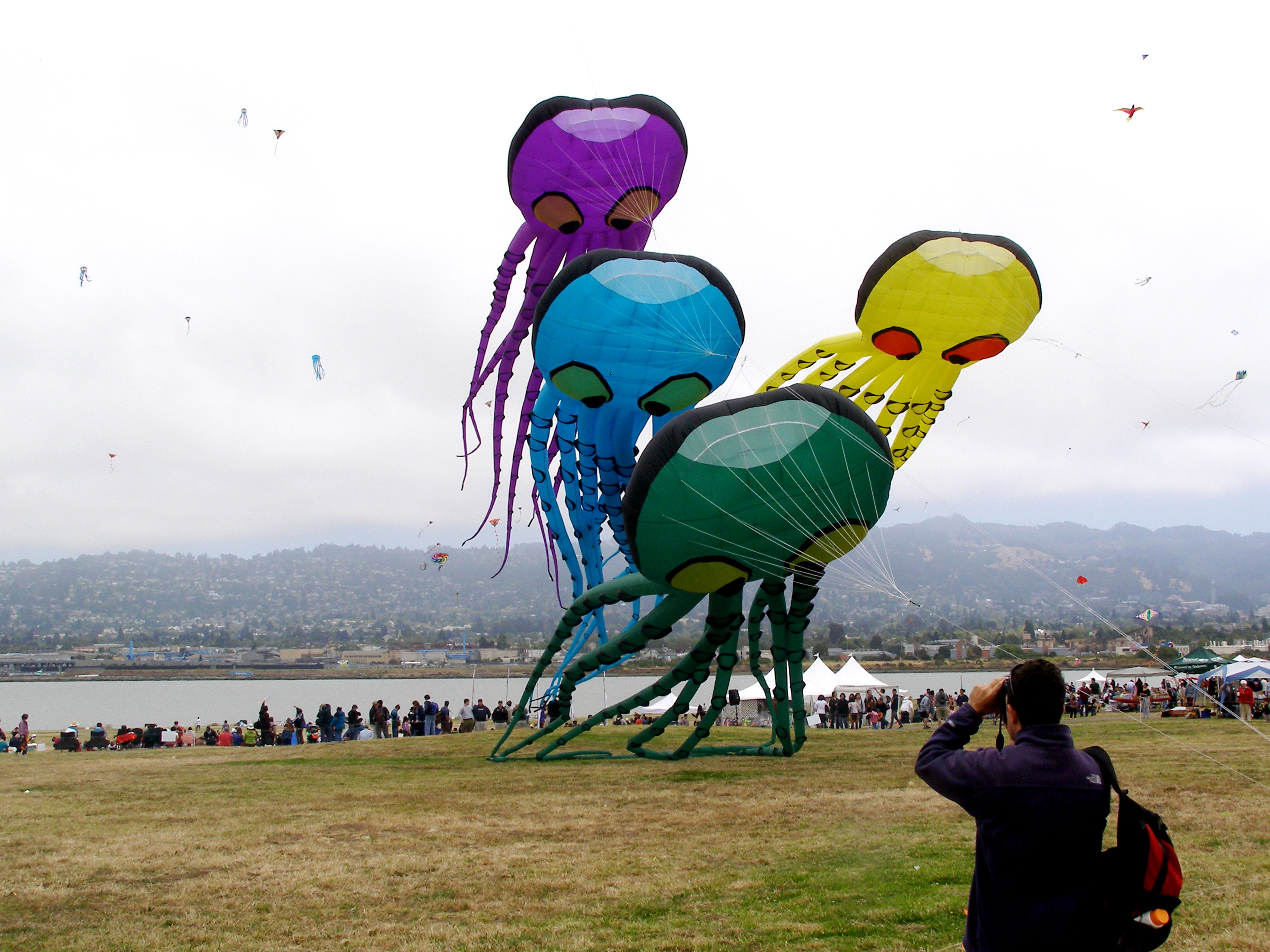 Squeaky & Friends - Berkeley Kite Festival - Atlas Obscura Blog