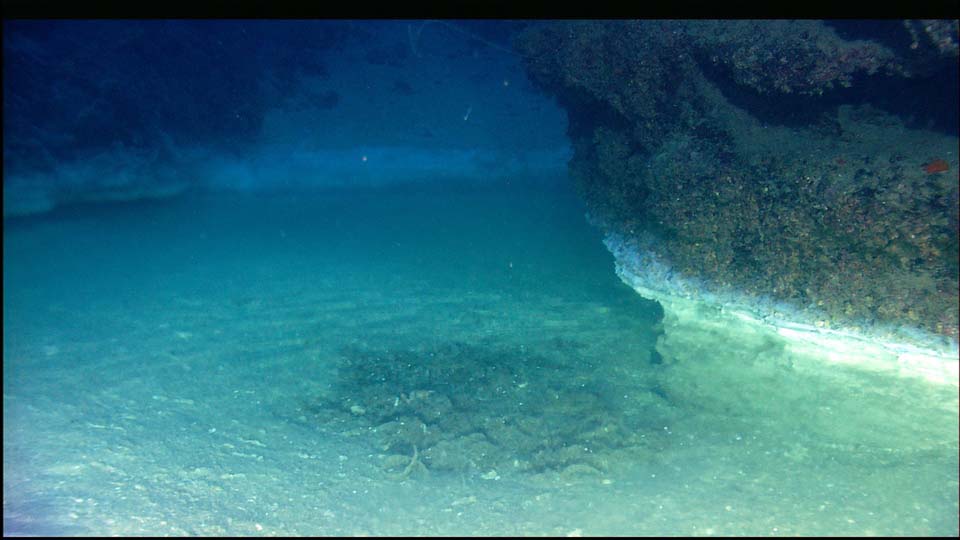 Under Sea Brine Lake - Gulf of Mexico - Atlas Obscura