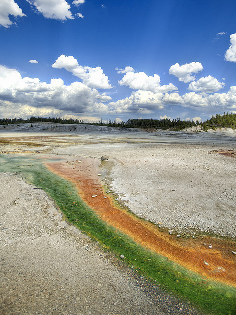Atlas Obscura Blog - Yellowstone Park Thermal Pools